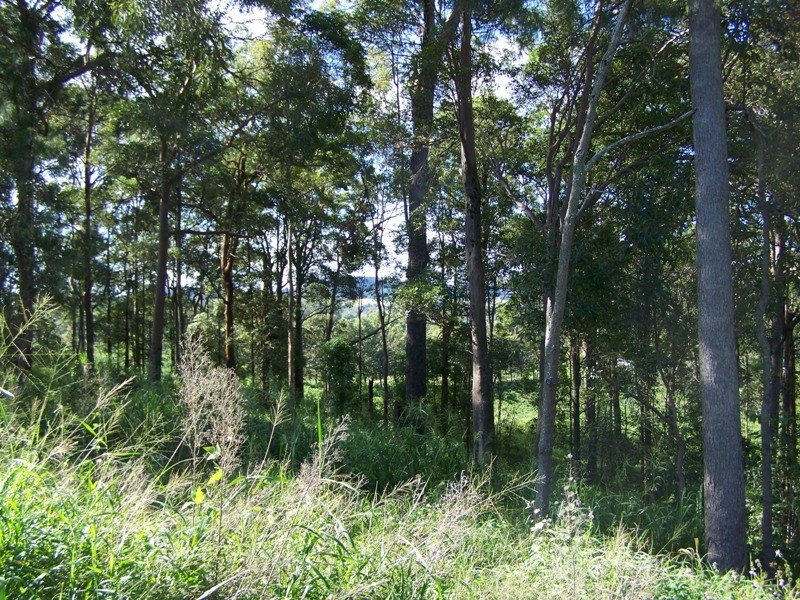 Beenaam Valley QLD 4570