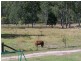 Glenwood QLD 4570