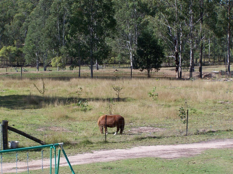 Glenwood QLD 4570