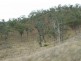 Booubyjan QLD 4601