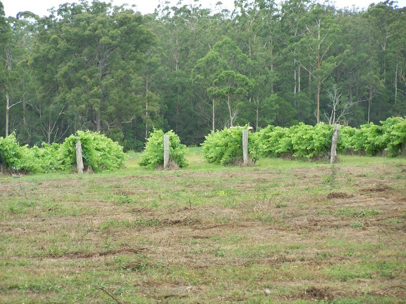 North Deep Creek QLD 4570