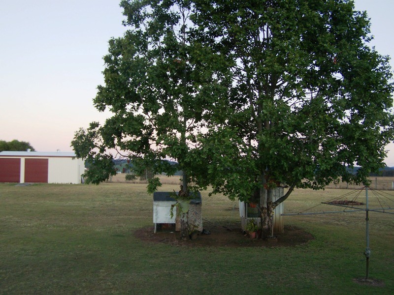 Lower Wonga QLD 4570