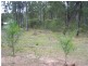 Bauple QLD 4650