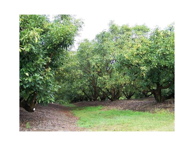 Amamoor QLD 4570