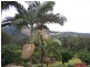 Amamoor QLD 4570