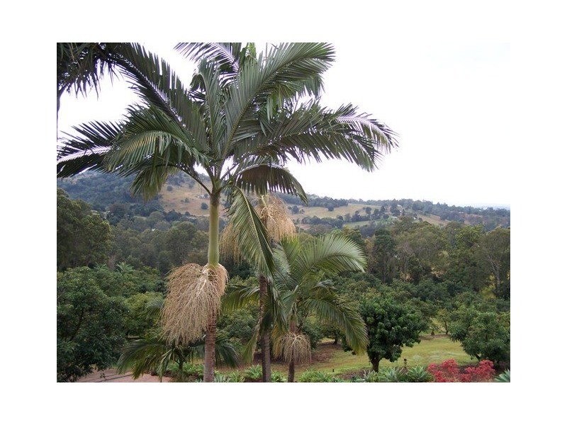 Amamoor QLD 4570