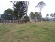 The Dawn QLD 4570
