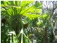 Kybong QLD 4570