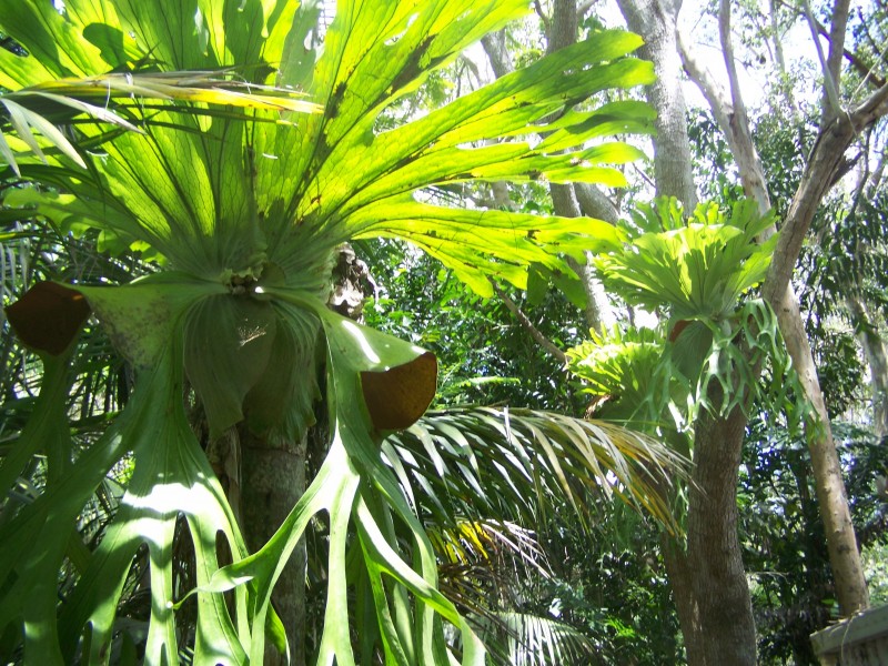 Kybong QLD 4570