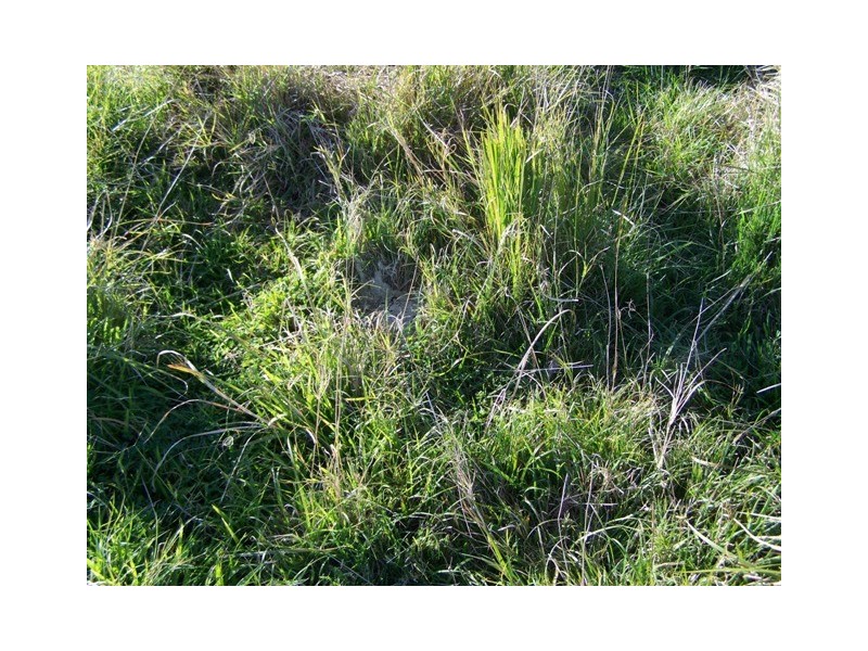 Goomboorian QLD 4570