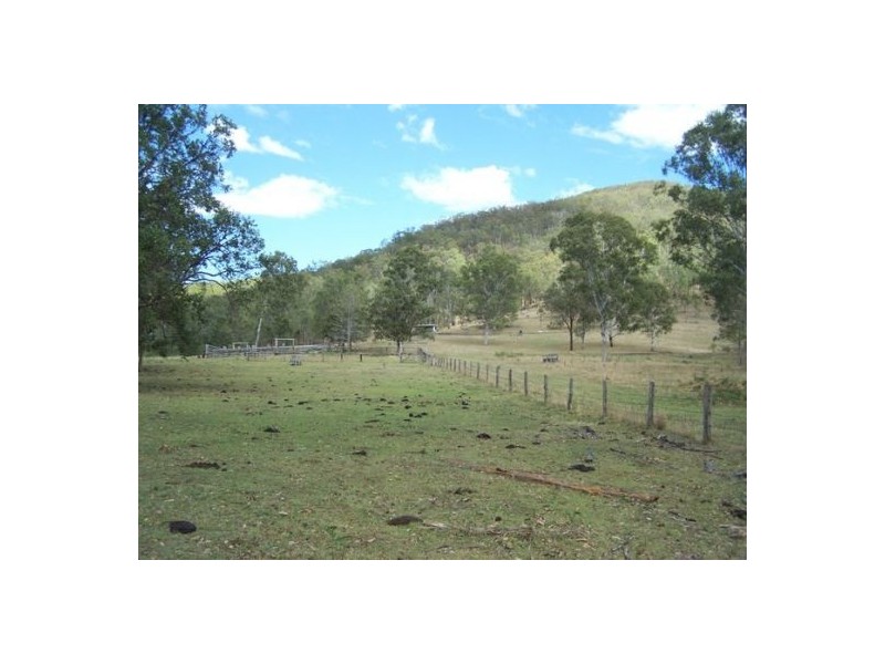 Black Snake QLD 4600