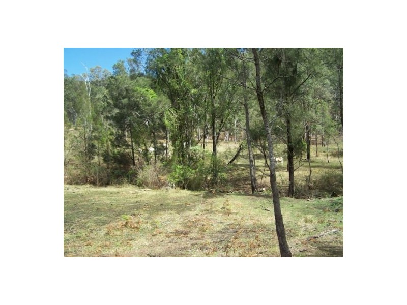 Black Snake QLD 4600