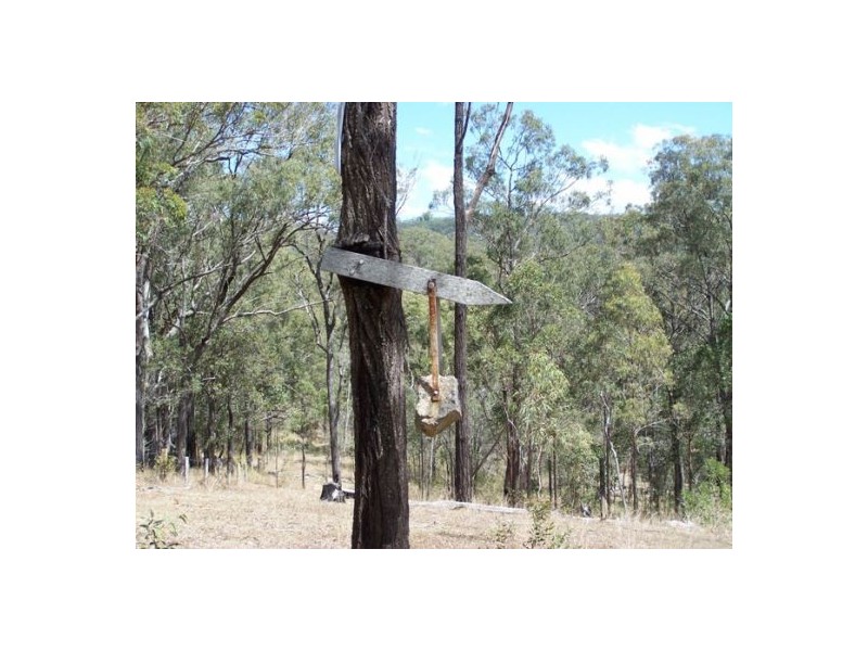 Black Snake QLD 4600