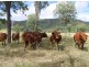 Malarga QLD 4620