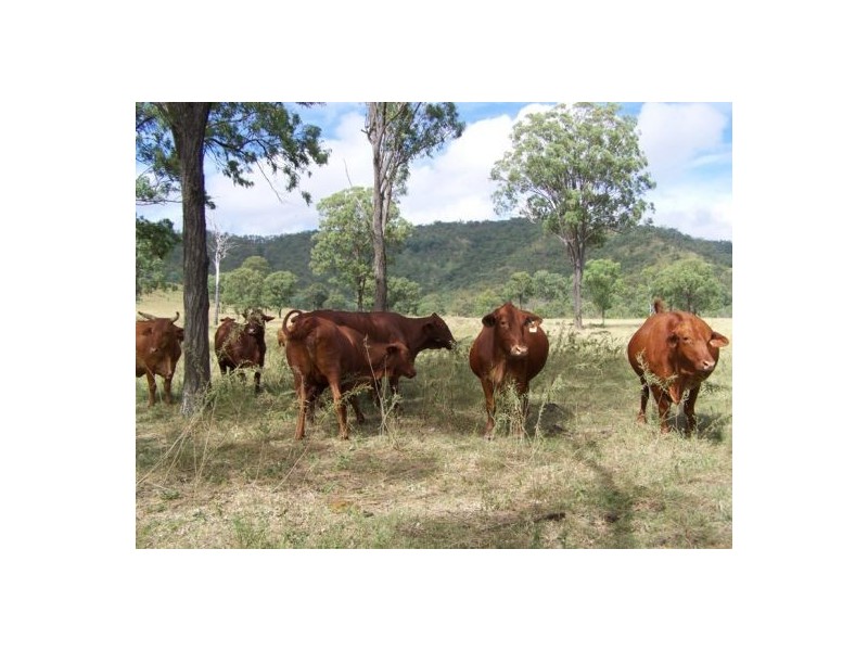 Malarga QLD 4620