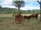Malarga QLD 4620