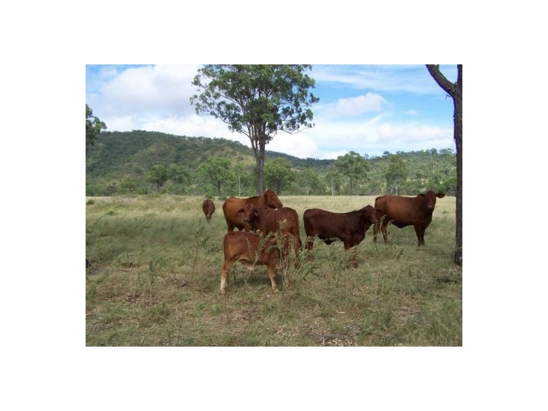 Malarga QLD 4620