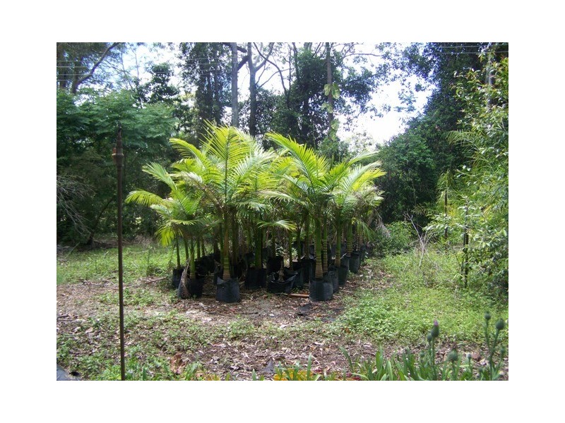Kybong QLD 4570