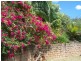 Amamoor QLD 4570