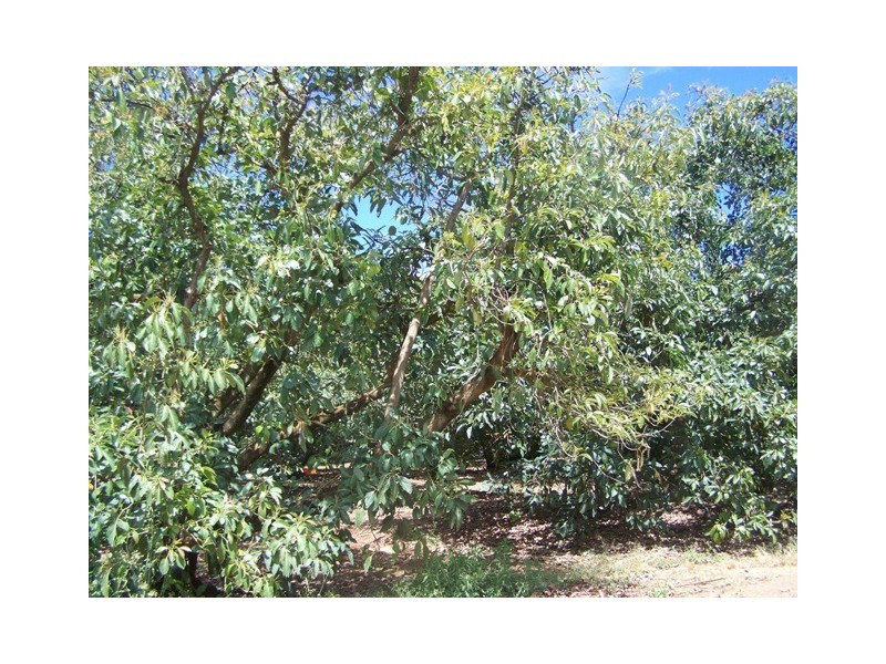 Amamoor QLD 4570