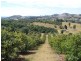 Amamoor QLD 4570