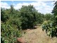 Amamoor QLD 4570