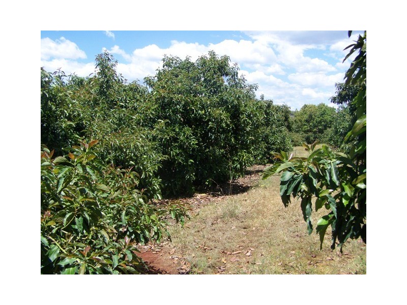 Amamoor QLD 4570