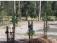 Tamaree QLD 4570