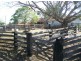 Lower Wonga QLD 4570