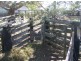 Lower Wonga QLD 4570