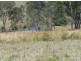 Canina QLD 4570