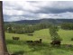 Wolvi QLD 4570