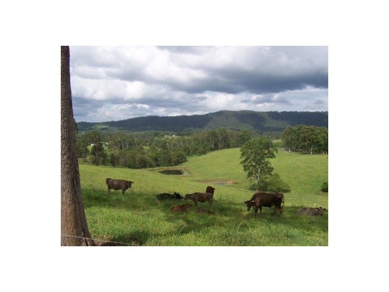 Wolvi QLD 4570