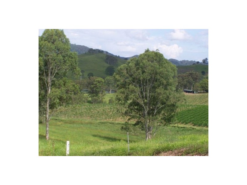 Wolvi QLD 4570