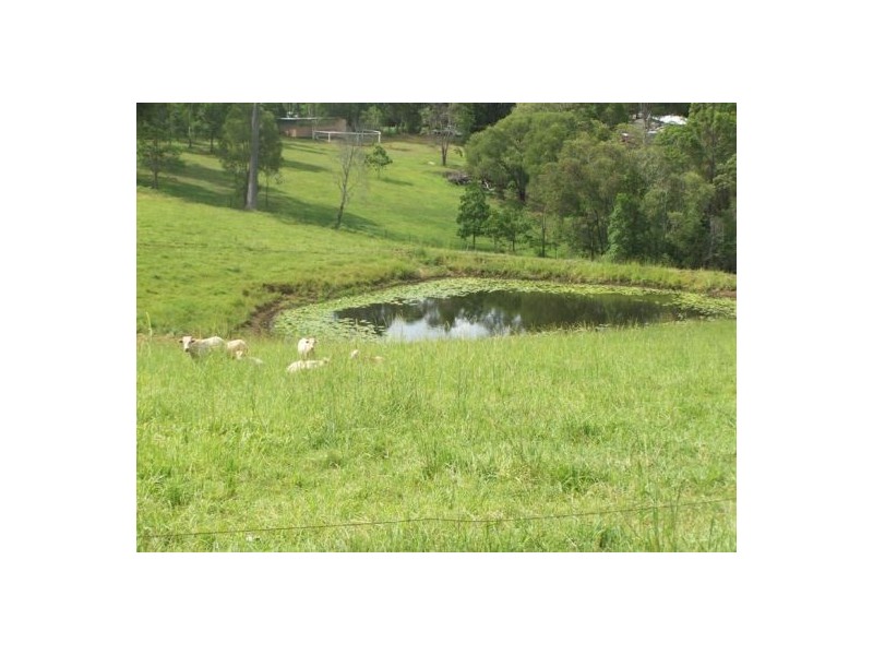 Wolvi QLD 4570