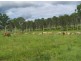 Wolvi QLD 4570