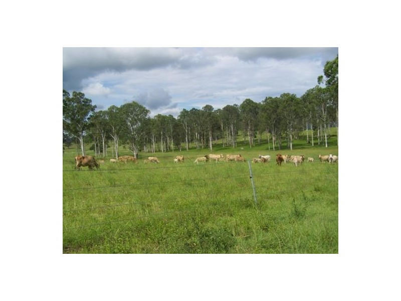 Wolvi QLD 4570