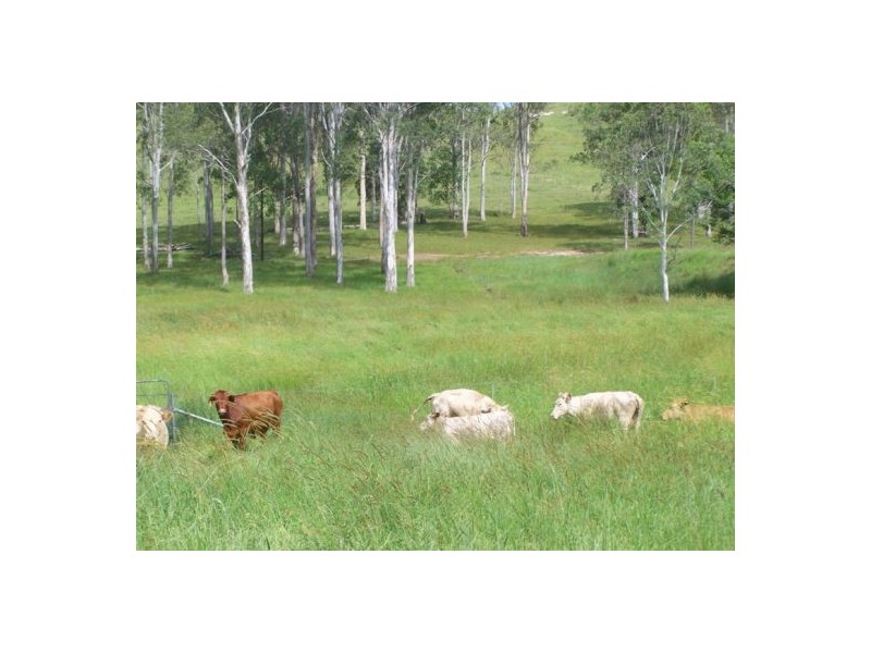 Wolvi QLD 4570