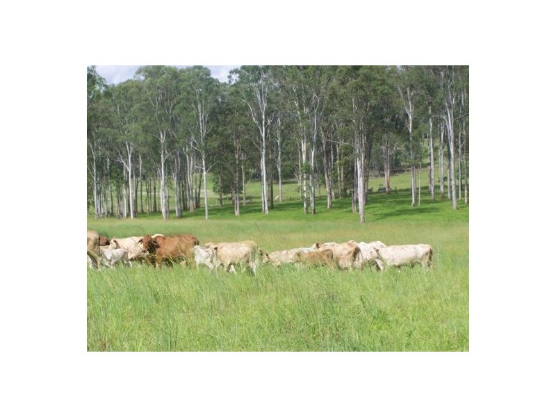 Wolvi QLD 4570