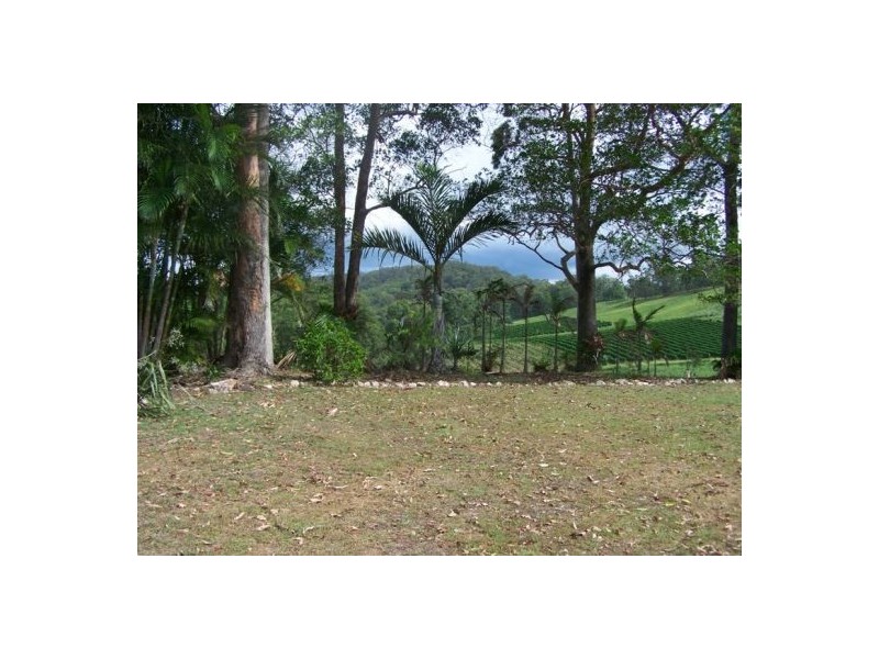 Wolvi QLD 4570