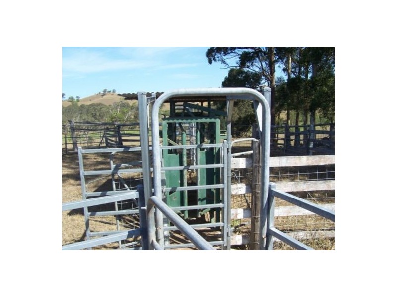 Wolvi QLD 4570