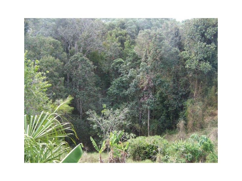 Mcintosh Creek QLD 4570