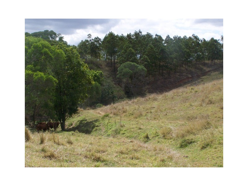 Mcintosh Creek QLD 4570