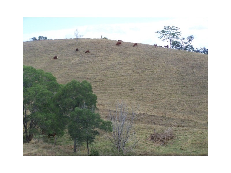 Mcintosh Creek QLD 4570