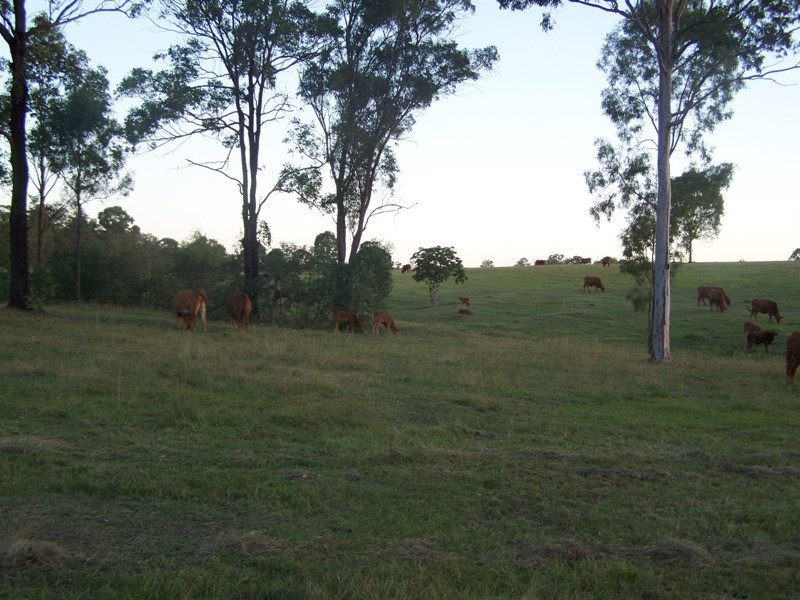 Gunalda QLD 4570