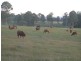 Gunalda QLD 4570