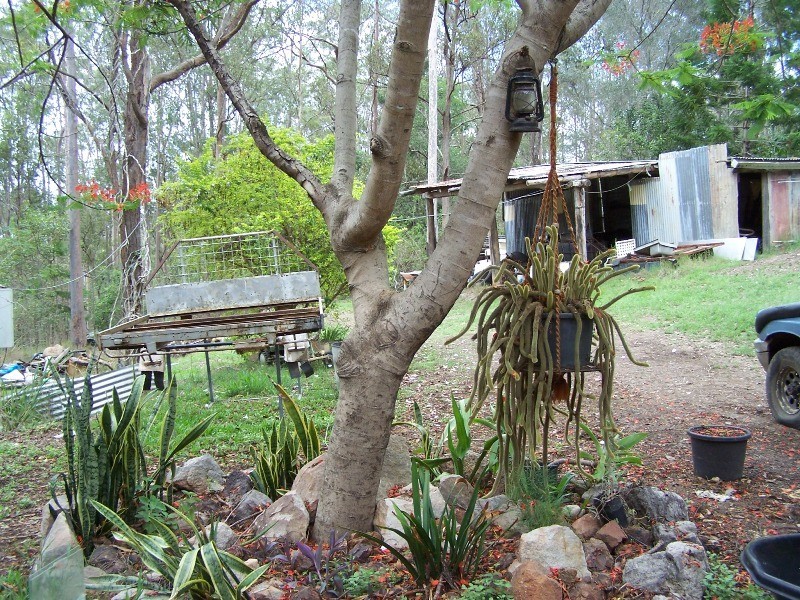 North Deep Creek QLD 4570