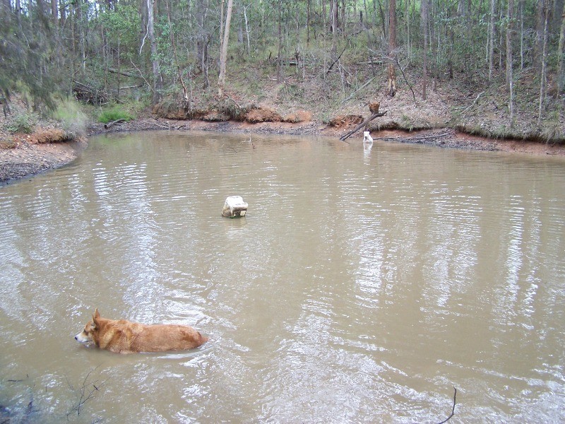 North Deep Creek QLD 4570