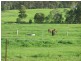 Bells Bridge QLD 4570