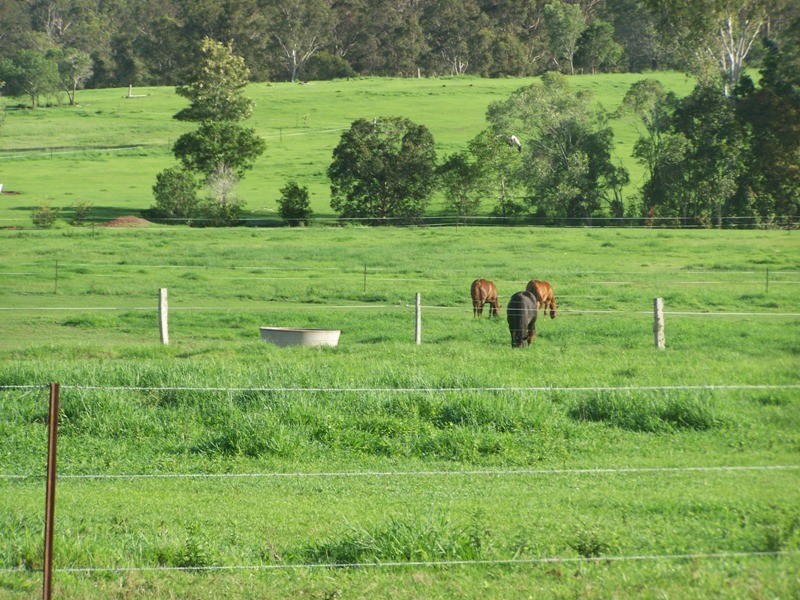 Bells Bridge QLD 4570